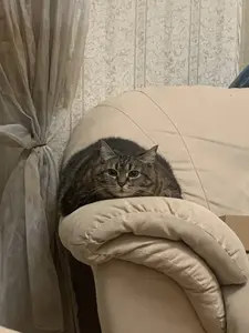 Муся